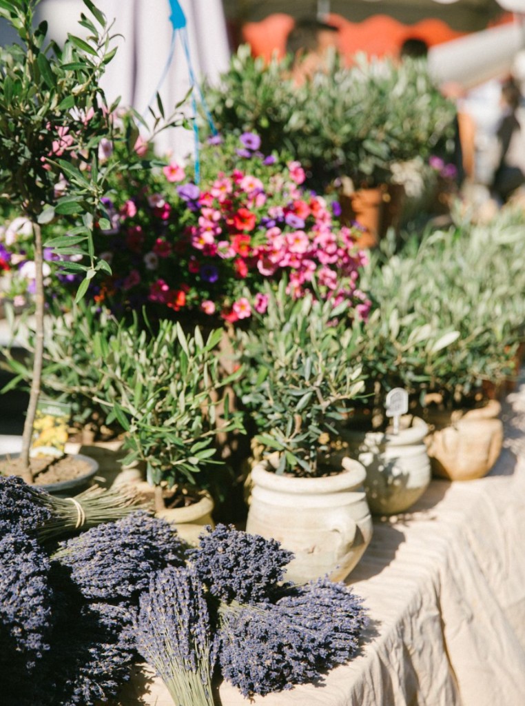 Lavender and olive trees at the Wednesday market in Saint-Rémy-de-Provence